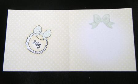 New Baby Insert Square Portrait by Charlie Angel