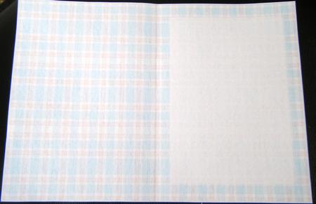 Gingham Insert by Charlie Angel