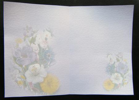 Flowers Insert by Charlie Angel