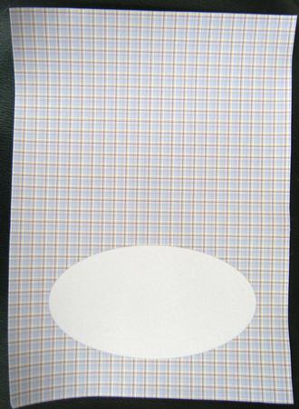Kamila Tartan Insert by Charlie Angel