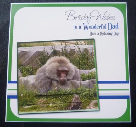 Baboon Dad Birthday 8x8inch Card Front by Charlie Angel