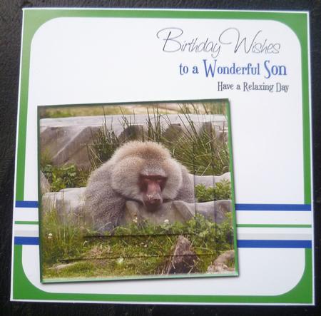 Baboon Son Birthday 8x8inch Card Front by Charlie Angel