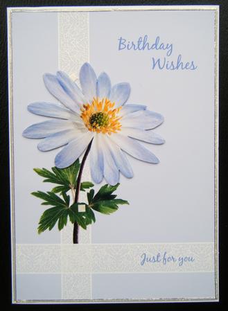 Anemone Birthday Card by Charlie Angel