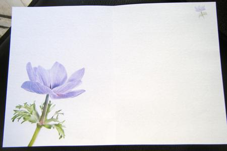 Purple Anemone Insert Sh0033 by Charlie Angel