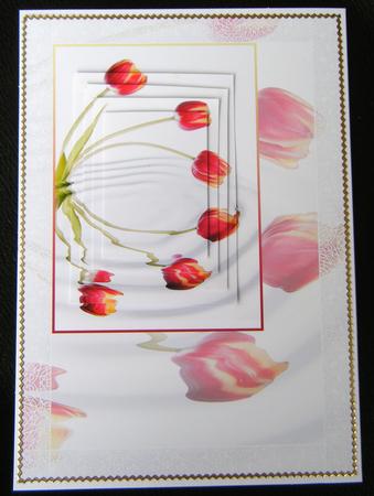Tulip Reflections Pyramid Card Front by Charlie Angel