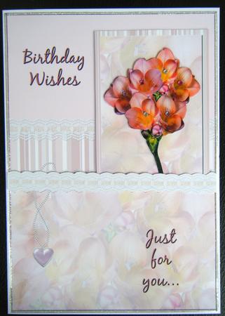Freisa Birthday Wishes by Charlie Angel