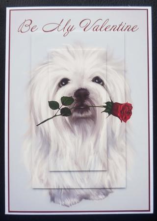 My Valentine by Charlie Angel