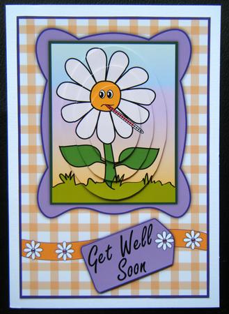 Get Well Soon Daisy Pyramid by Charlie Angel