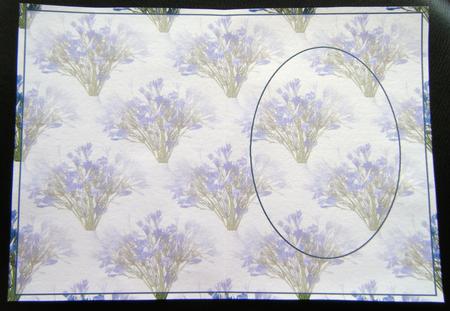 Californian Bluebells Insert by Charlie Angel