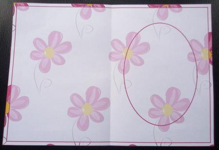 Pretty in Pinks Insert by Charlie Angel