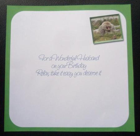 Baboon Husband Birthday 8x8inch Insert by Charlie Angel