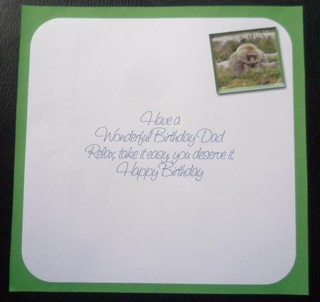 Baboon Dad Birthday 8x8inch Insert by Charlie Angel