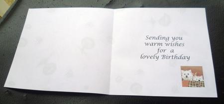 Good Friends Westies Love on Birthday Insert 6 by 6 by Charlie Angel