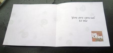 Good Friends Westies You're Special Insert 6 by 6 by Charlie Angel