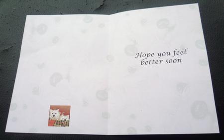 Good Friends Westies Feel Better Insert 7 by 5 by Charlie Angel