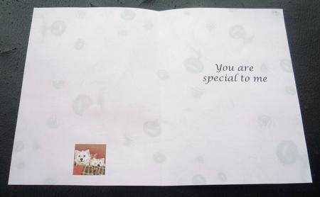 Good Friends Westies You're Special Inserts 7 by 5 by Charlie Angel
