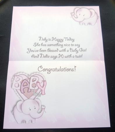 Baby Nellie in Pink A4 Custom Verse Insert by Charlie Angel