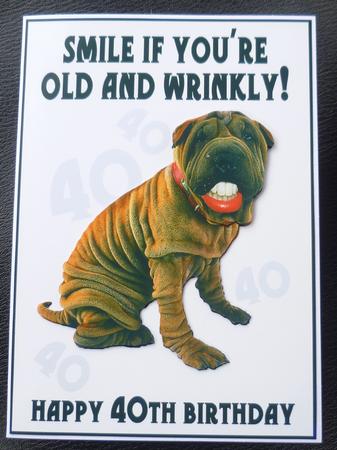 Fun Fun 40th Birthday Greeting Card with Shar Pei by Charlie Angel