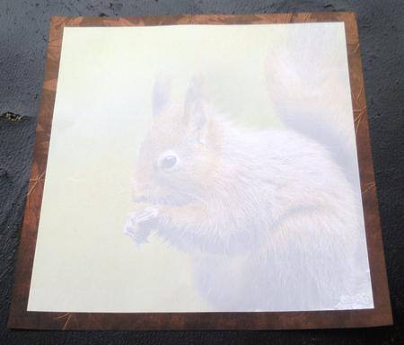 Red Squirrel on Leafy Brown 8x8 Inch Insertt by Charlie Angel