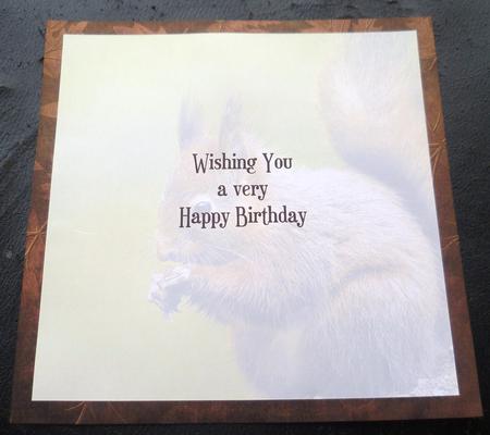 Red Squirrel on Leafy Brown 8x8 Inch Insert Birthday by Charlie Angel