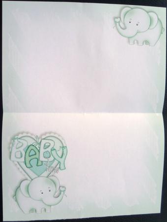 Baby Nellie in Green A4 Blank Insert by Charlie Angel
