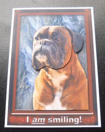The Boxer Smiles by Charlie Angel