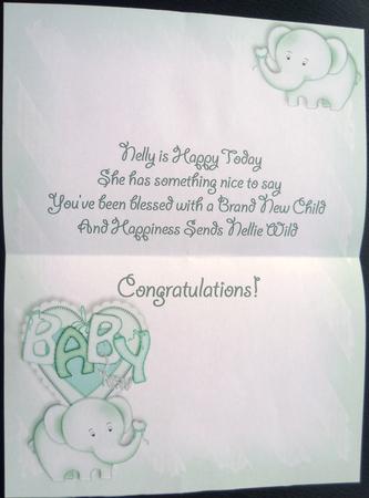 Baby Nellie in Mint A4 Custom Verse Insert by Charlie Angel