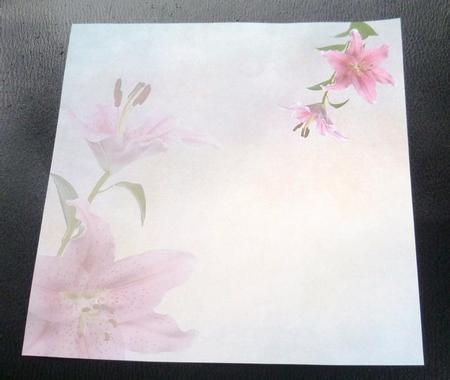 Stargazer Lily Insert 8x8inch by Charlie Angel