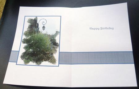 Happy Birthday Vellum or Insert- a View from the Steps by Charlie Angel