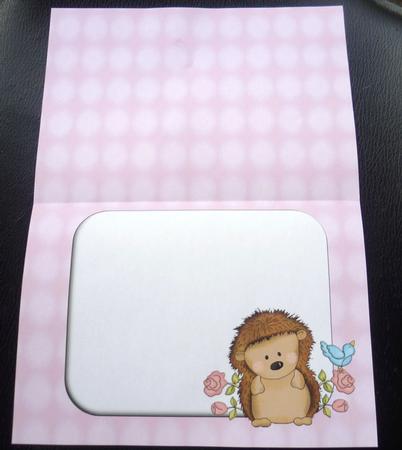 Spring Hedgehog Insert by Charlie Angel