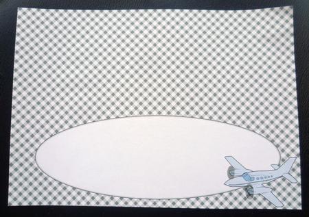 Plane Insert for Large Dl (plaid) by Charlie Angel