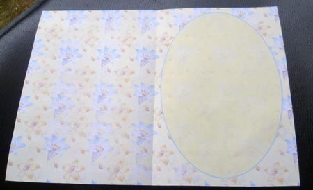 Morning Glory on Lemon Insert by Charlie Angel