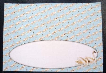 Swans Insert for Large Dl (light Blue) by Charlie Angel