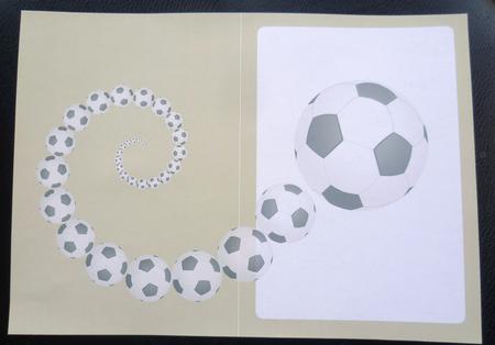 Football Fan Insert Grey Green by Charlie Angel