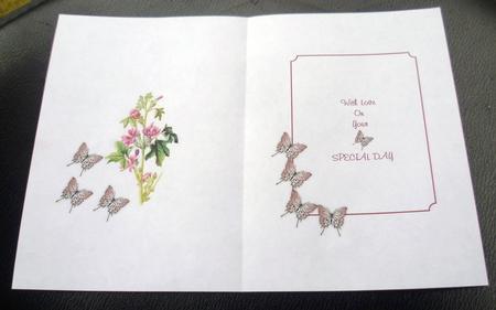 Butterfly Insert by Charlie Angel