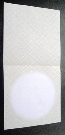 Roses & Pearls 5x5 Insert / Cardbase 3 Mix N Match by Charlie Angel
