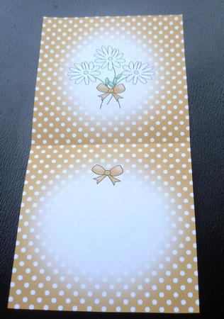 Pretty Polka Dots Square Landscape Card Insert by Charlie Angel