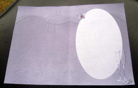 Butterflies and Blooms -  Co-ordinating Insert by Charlie Angel