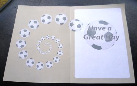 Football Fan Great Day Insert Grey Green by Charlie Angel