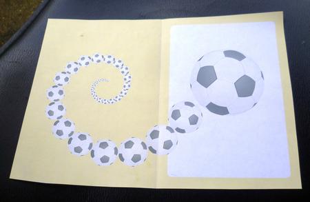 Football Fan Insert Yellow by Charlie Angel