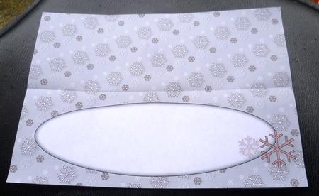Snowflakes Insert for Large Dl 7 by Charlie Angel