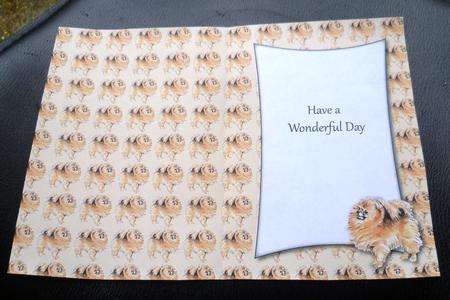 Pomeranian Insert with Message (cream) by Charlie Angel