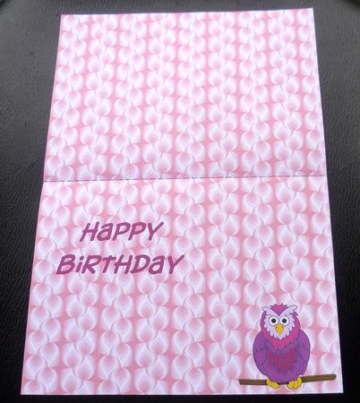 Pink Owl on Branch Insert by Charlie Angel