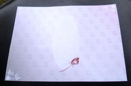 Tres Chic 1 Gatefold Insert by Charlie Angel