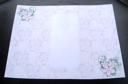 Floral Visage in Blush - Gatefold Insert by Charlie Angel