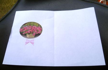 Insert for the Invertage Framed Flowers Design Sheet by Charlie Angel