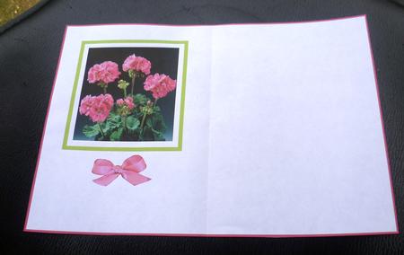 Insert or Vellum for the Geranium Side Panel Stacker Card by Charlie Angel