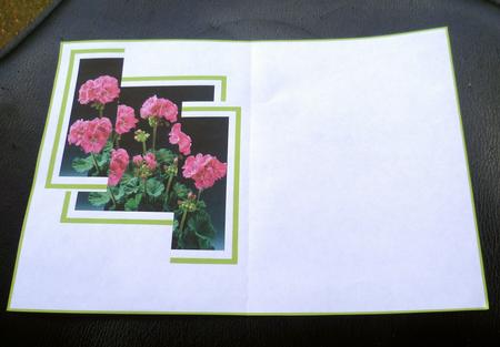 Unusual Side Panel Geranium Insert or Vellum. by Charlie Angel