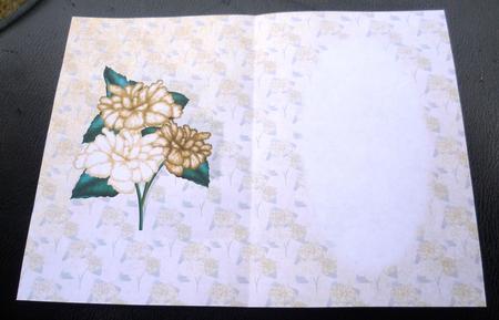 Floral Trio Insert by Charlie Angel