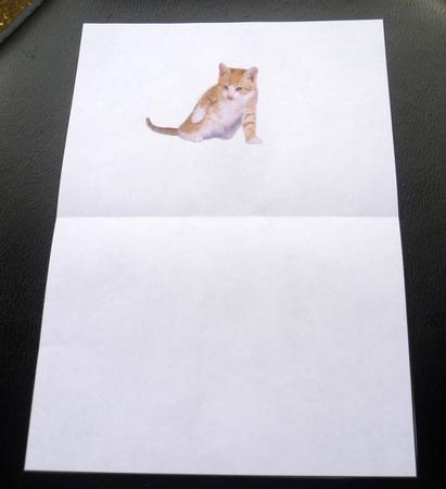 Kitten Press Ups Insert Landscape by Charlie Angel